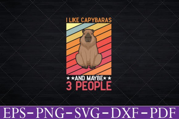 I Like Capybaras and Maybe 3 People T-Shirt Graphics Review